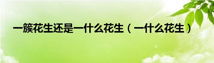 一簇花生还是一什么花生(一什么花生)