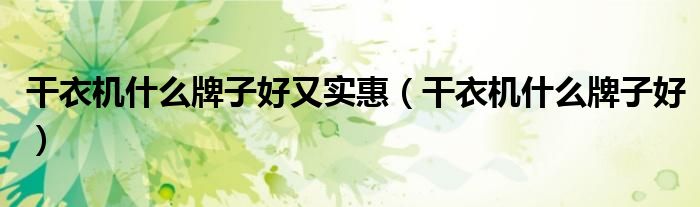 干衣机什么牌子好又实惠（干衣机什么牌子好）