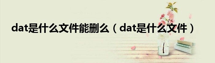 dat是什么文件能删么（dat是什么文件）