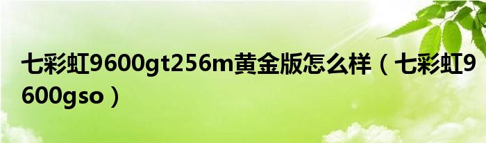 七彩虹9600gt256m黄金版怎么样（七彩虹9600gso）