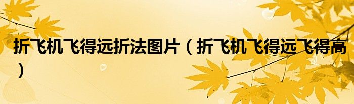 折飞机飞得远折法图片（折飞机飞得远飞得高）