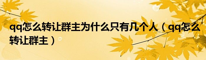 qq怎么转让群主为什么只有几个人（qq怎么转让群主）