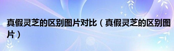 真假灵芝的区别图片对比（真假灵芝的区别图片）
