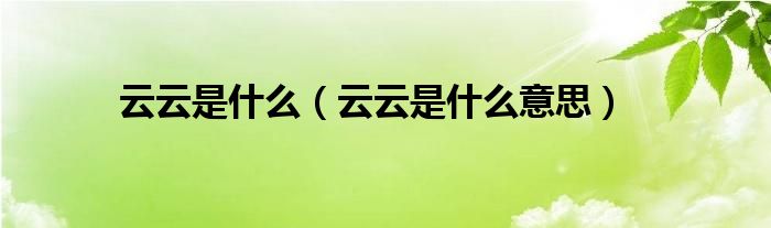 云云是什么（云云是什么意思）