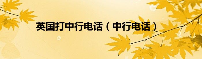英国打中行电话（中行电话）