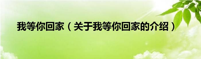 我等你回家（关于我等你回家的介绍）