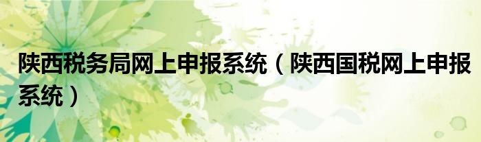 陕西税务局网上申报系统(陕西国税网上申报系统)