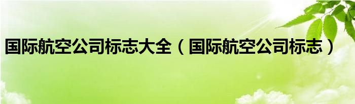国际航空公司标志大全（国际航空公司标志）