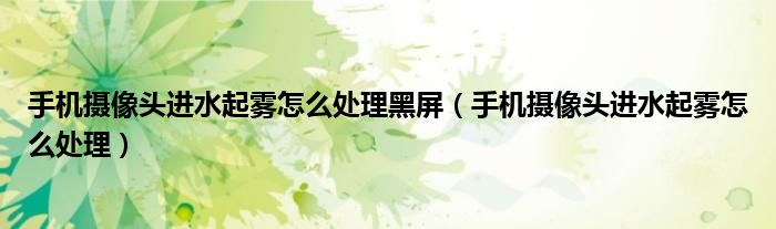 手机摄像头进水起雾怎么处理黑屏（手机摄像头进水起雾怎么处理）