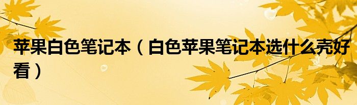 苹果白色笔记本（白色苹果笔记本选什么壳好看）