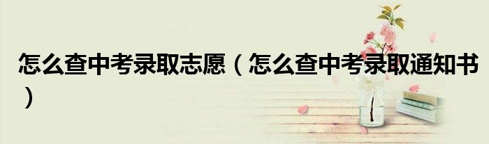 怎么查中考录取志愿(怎么查中考录取通知书)