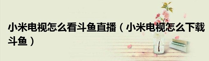 小米电视怎么看斗鱼直播（小米电视怎么下载斗鱼）
