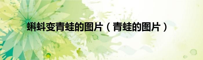 蝌蚪变青蛙的图片（青蛙的图片）
