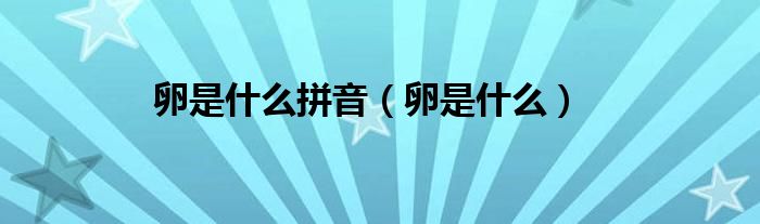 卵是什么拼音（卵是什么）