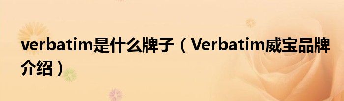 verbatim是什么牌子（Verbatim威宝品牌介绍）