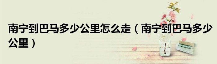 南宁到巴马多少公里怎么走（南宁到巴马多少公里）
