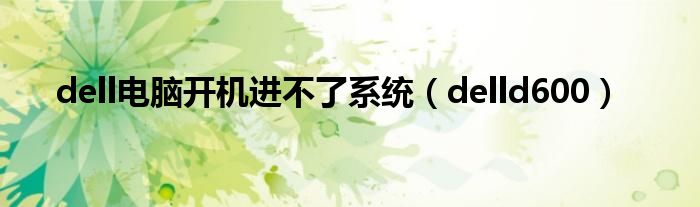dell电脑开机进不了系统（delld600）