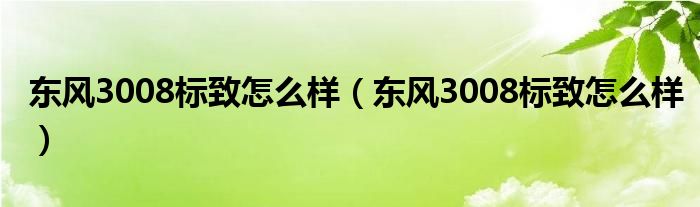 东风3008标致怎么样（东风3008标致怎么样）