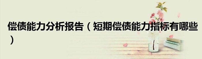 偿债能力分析报告（短期偿债能力指标有哪些）