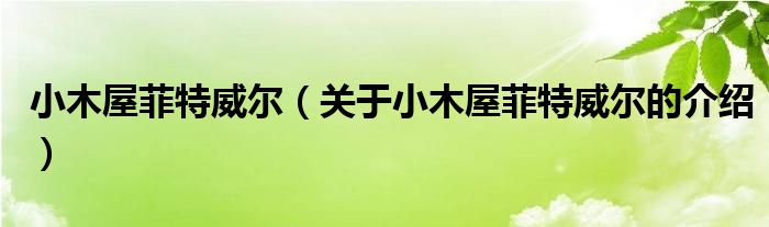 小木屋菲特威尔（关于小木屋菲特威尔的介绍）