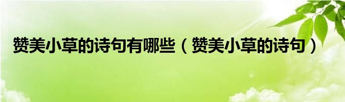赞美小草的诗句有哪些（赞美小草的诗句）