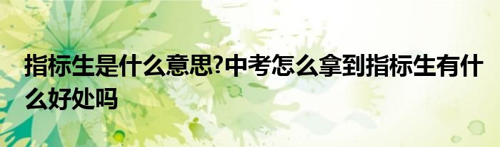 指标生是什么意思?中考怎么拿到指标生有什么好处吗